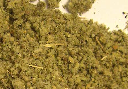 American Bulk Herbs Mullein