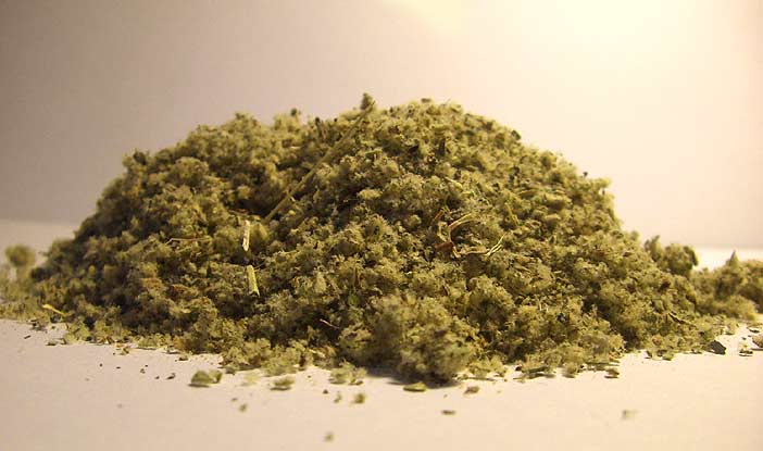 American Bulk Herbs Mullein