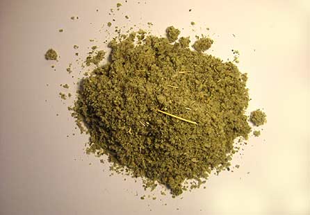 American Bulk Herbs Mullein