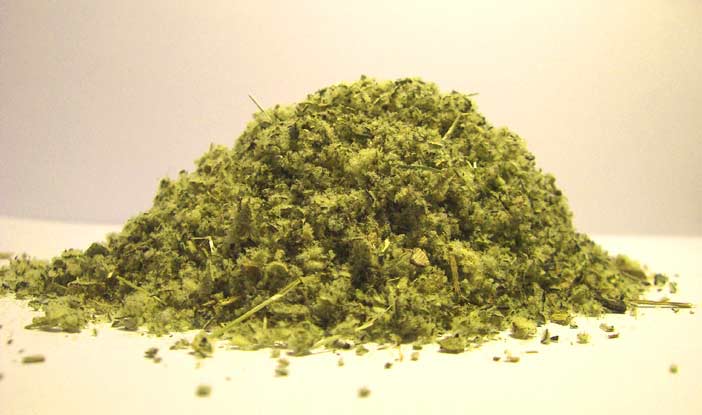 American Bulk Herbs Mullein