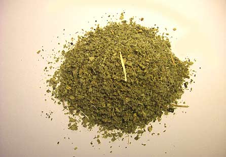 American Bulk Herbs Mullein