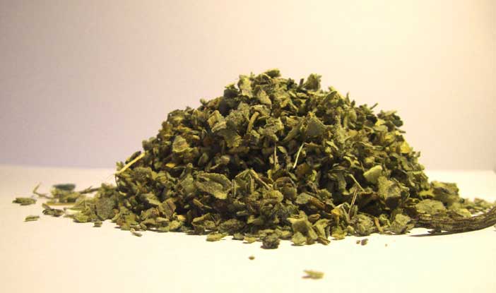 American Bulk Herbs Organic Mullein