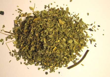 American Bulk Herbs Organic Mullein