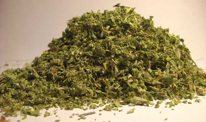 American Bulk Herbs Organic Damiana Conventional