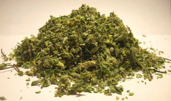 American Bulk Herbs Organic Damiana